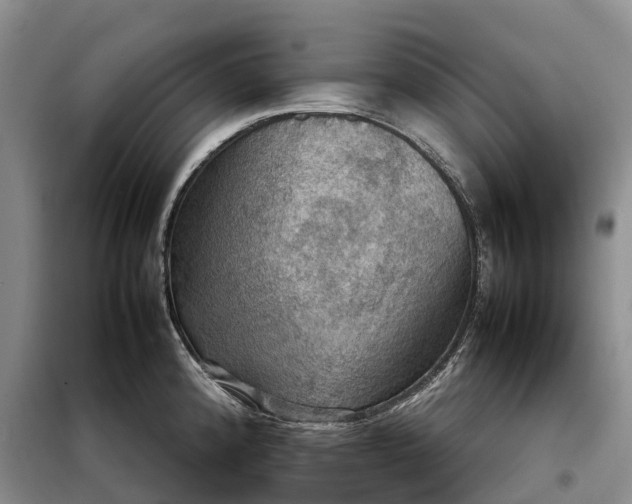X0000098001192200804071210