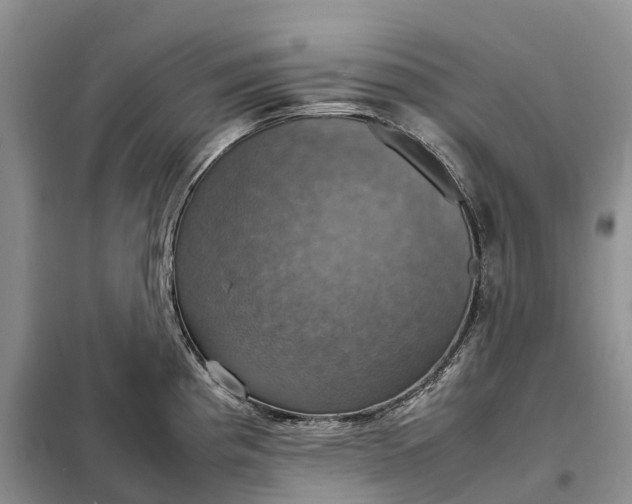 X0000098001193200804071210