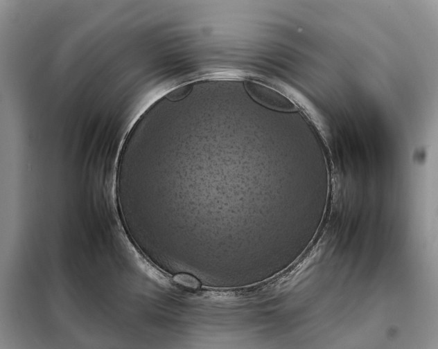 X0000098001194200804071210