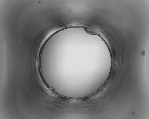 X0000098001195200804071210