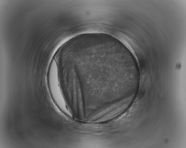 X0000098001197200804071210