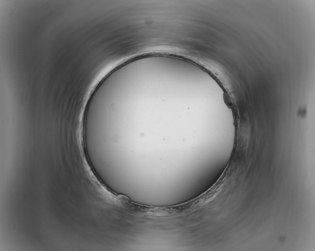 X0000098001199200804071210