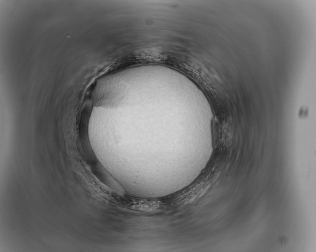 X0000098001201200804071209