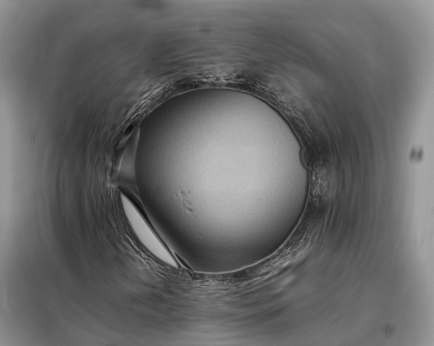 X0000098001202200804071209