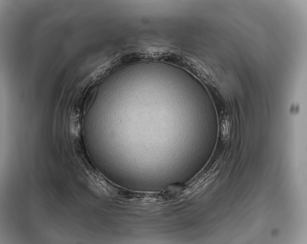 X0000098001204200804071209