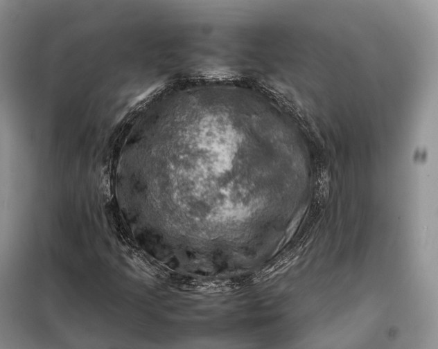 X0000098001205200804071209