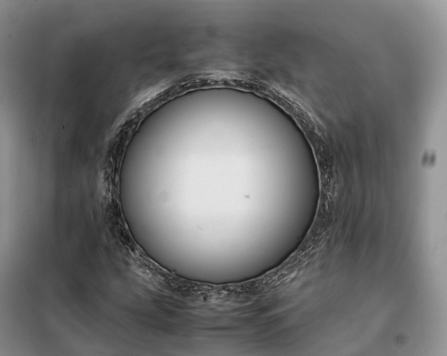 X0000098001207200804071209