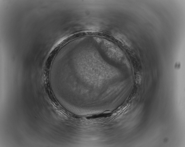 X0000098001208200804071209