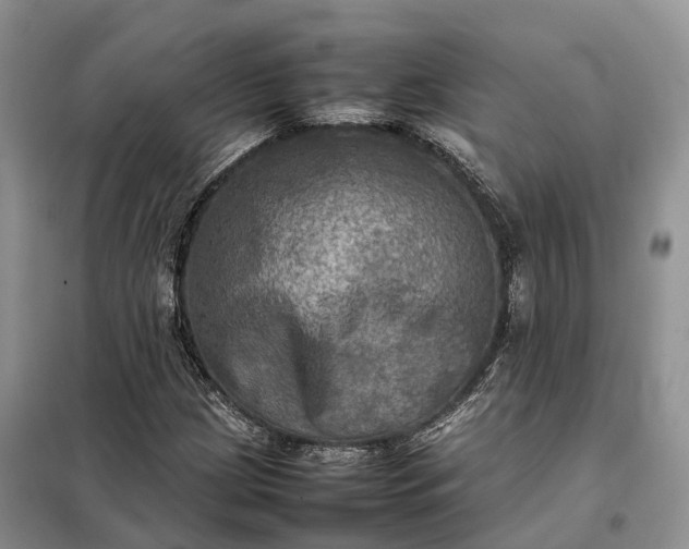 X0000098001209200804071209