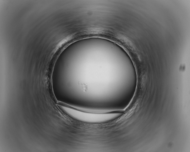 X0000098001210200804071209