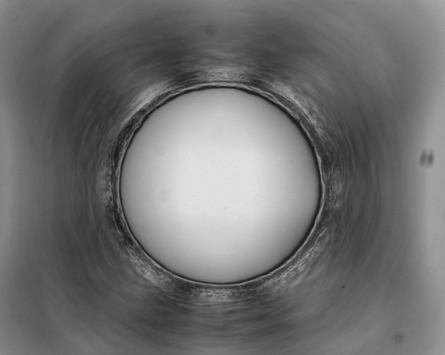 X0000098001211200804071209