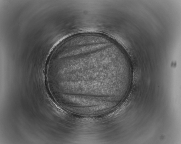 X0000098001212200804071209