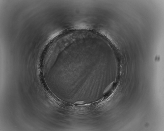 X0000098001213200804071209