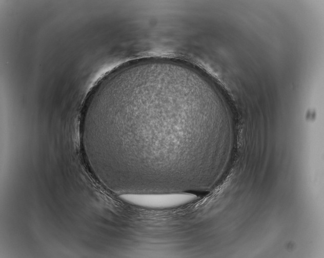 X0000098001214200804071209