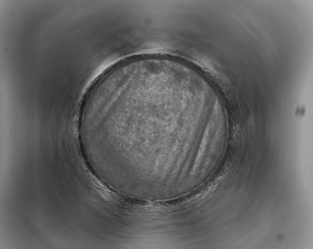 X0000098001216200804071209