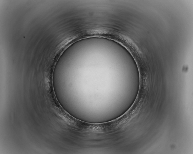 X0000098001217200804071209
