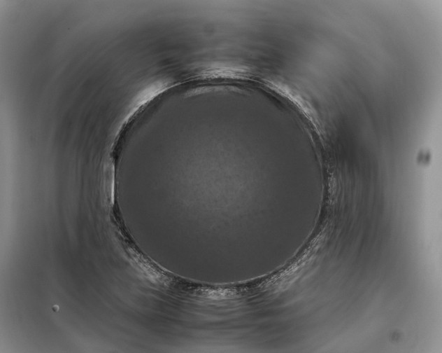 X0000098001219200804071209