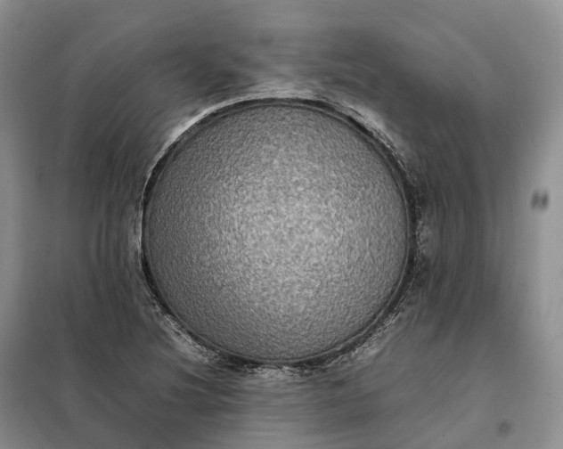 X0000098001220200804071209