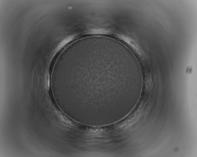 X0000098001221200804071209