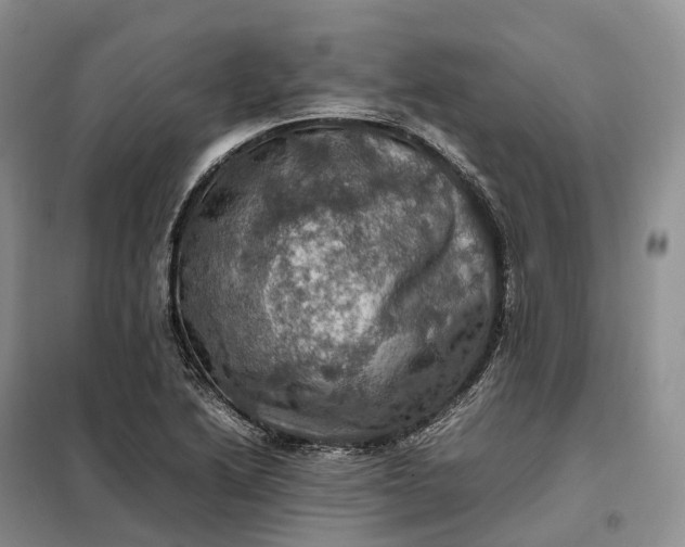 X0000098001222200804071209