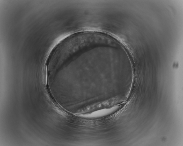 X0000098001223200804071209