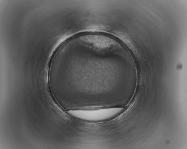 X0000098001224200804071209