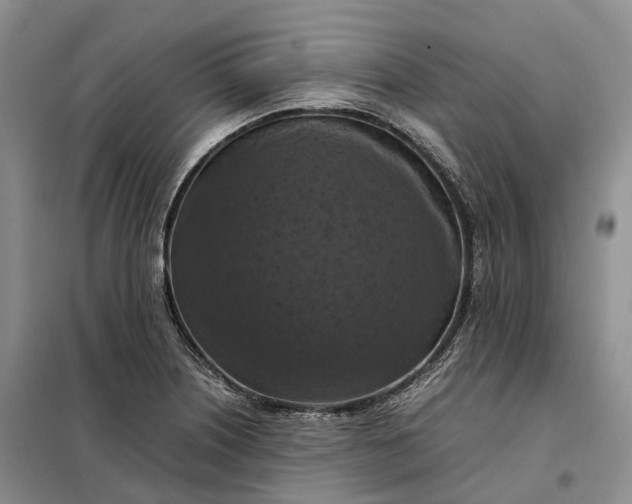 X0000098001226200804071209