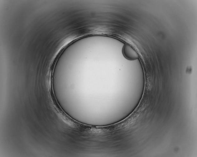 X0000098001227200804071209