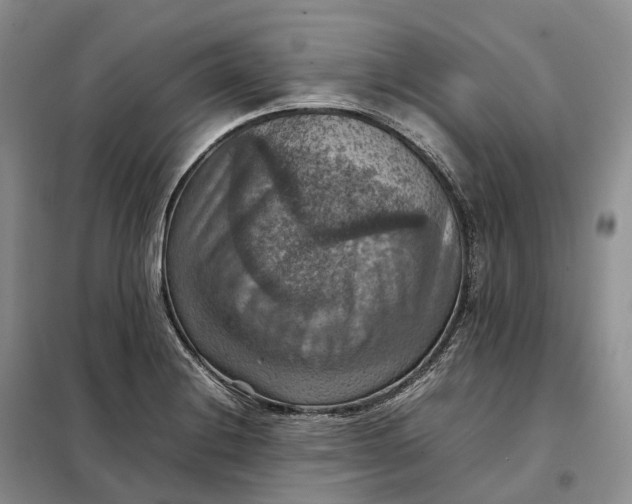 X0000098001228200804071209