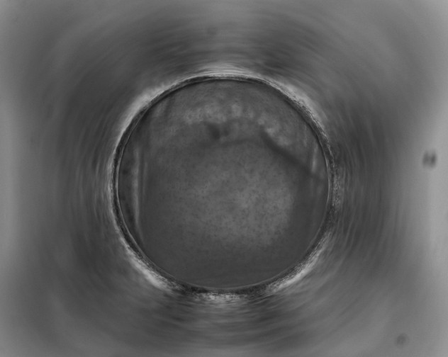 X0000098001231200804071210