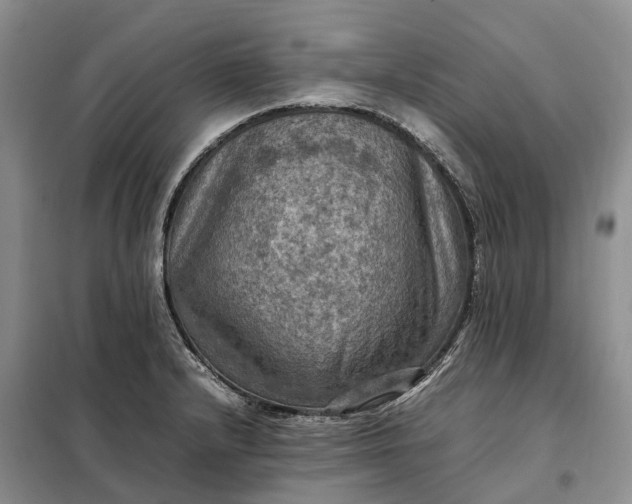 X0000098001232200804071210