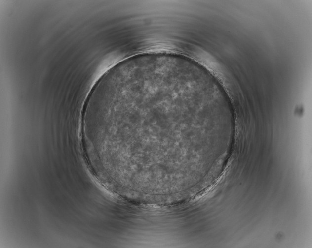 X0000098001234200804071210