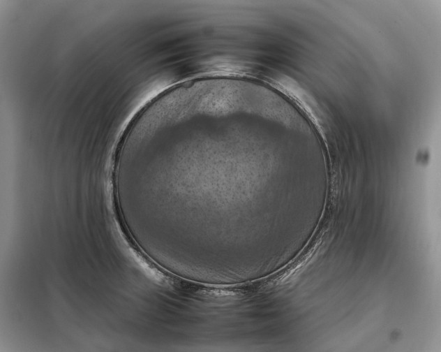 X0000098001235200804071210