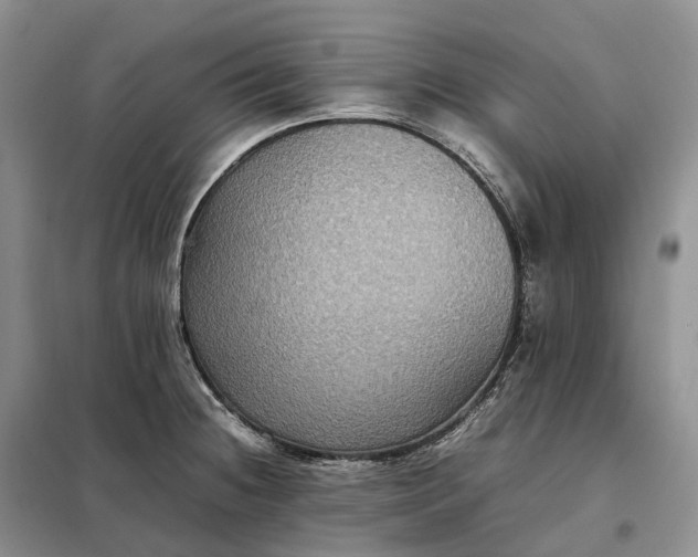 X0000098001236200804071210