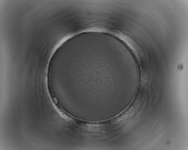 X0000098001237200804071210