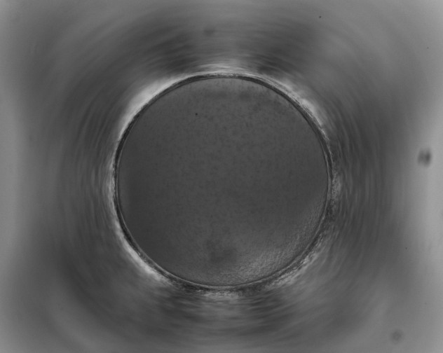 X0000098001239200804071210
