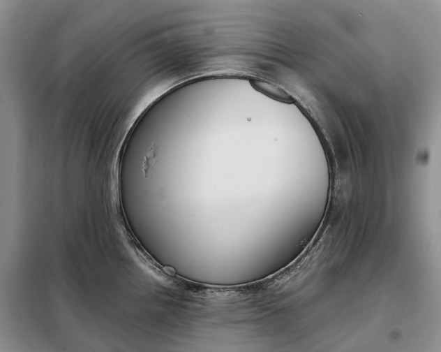 X0000098001242200804071210
