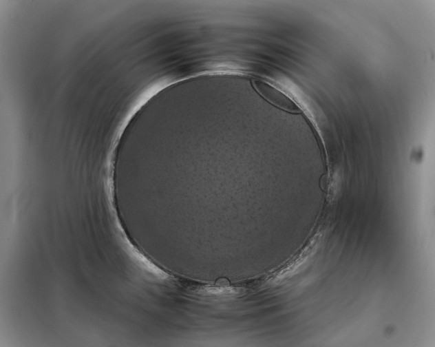 X0000098001243200804071210