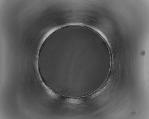 X0000098001245200804071210