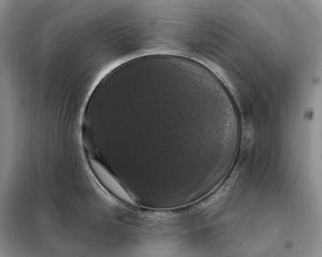 X0000098001246200804071210