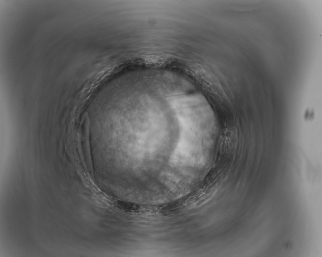 X0000098001249200804071209