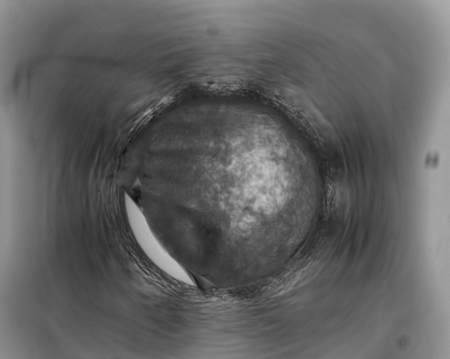 X0000098001250200804071209