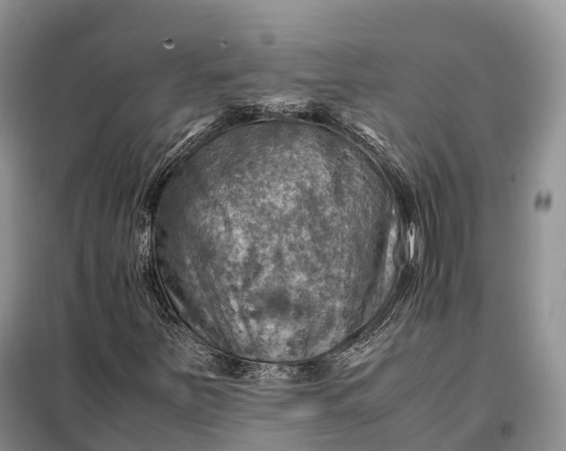 X0000098001251200804071209