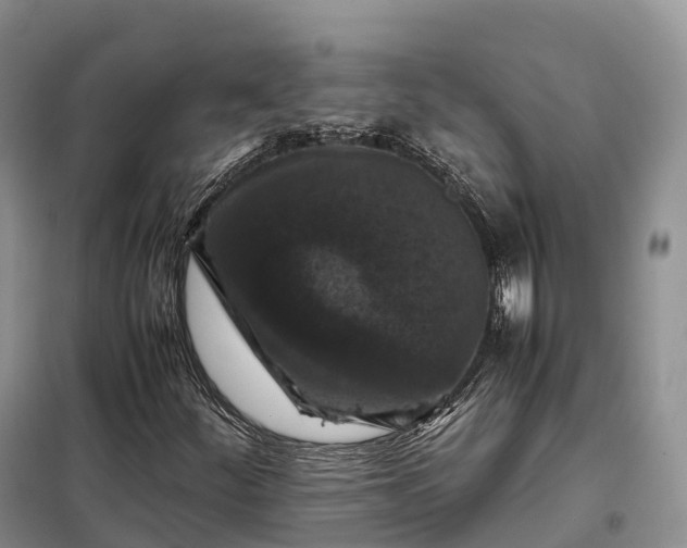 X0000098001252200804071209