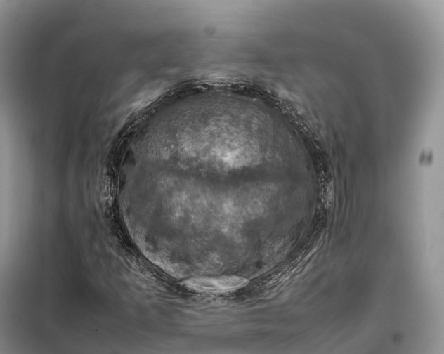X0000098001253200804071209