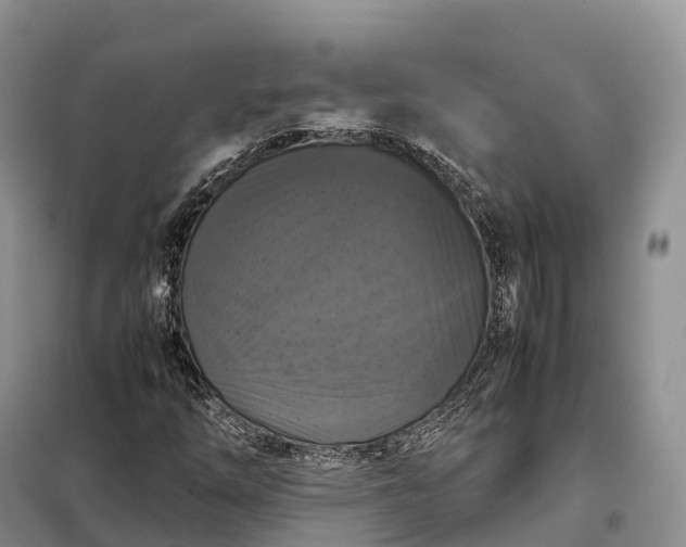 X0000098001254200804071209