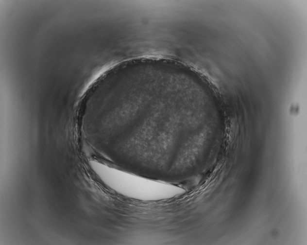 X0000098001256200804071209