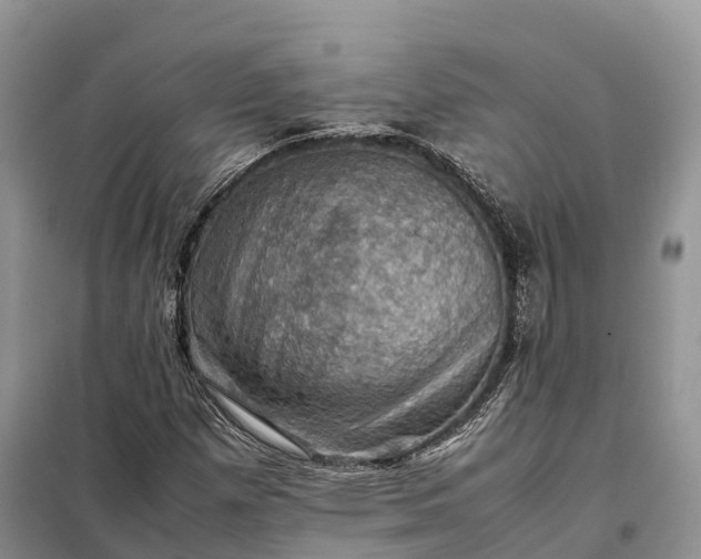 X0000098001257200804071209