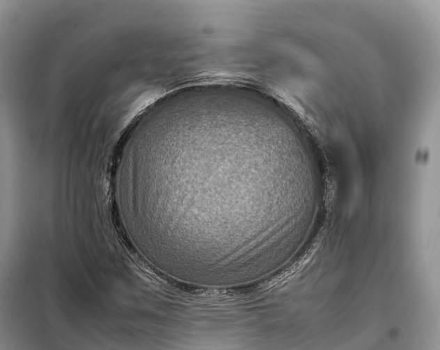 X0000098001259200804071209