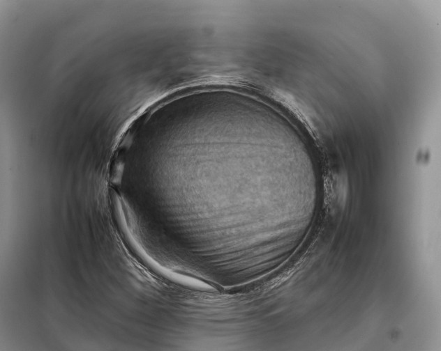 X0000098001260200804071209